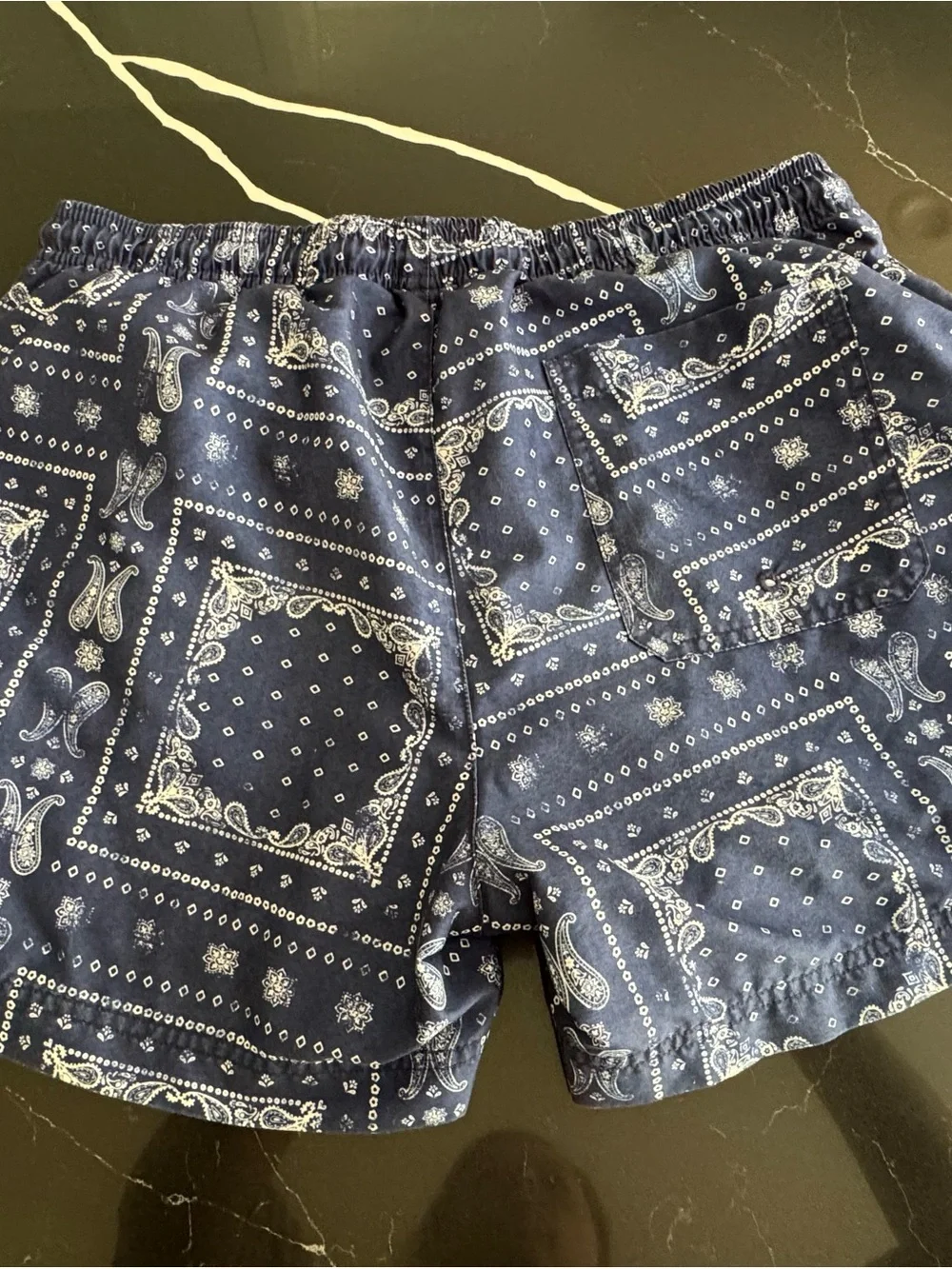 PacSun Navy Bandana Print Swim Trunks